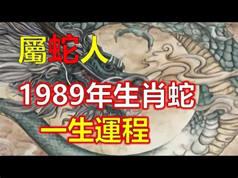 1989 屬|1989年属什么生肖